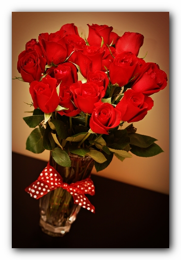 Valentine's Day 2008